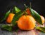 Mandarine - duftiges Öl