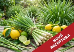 Lemongrass - vonný olej do svíček