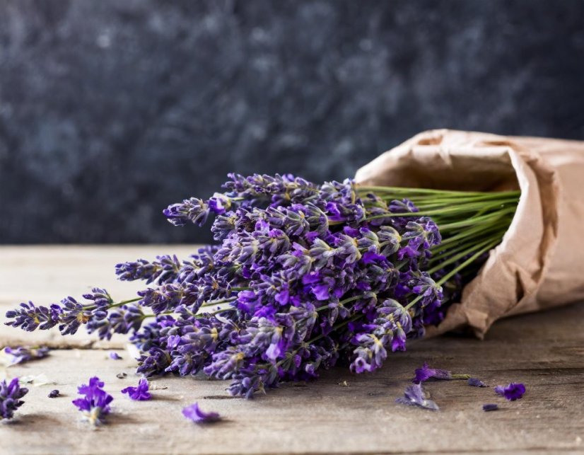 Lavendel Extra - duftiges Öl - Velikost balení: 500 ml NOVÁ RECEPTURA