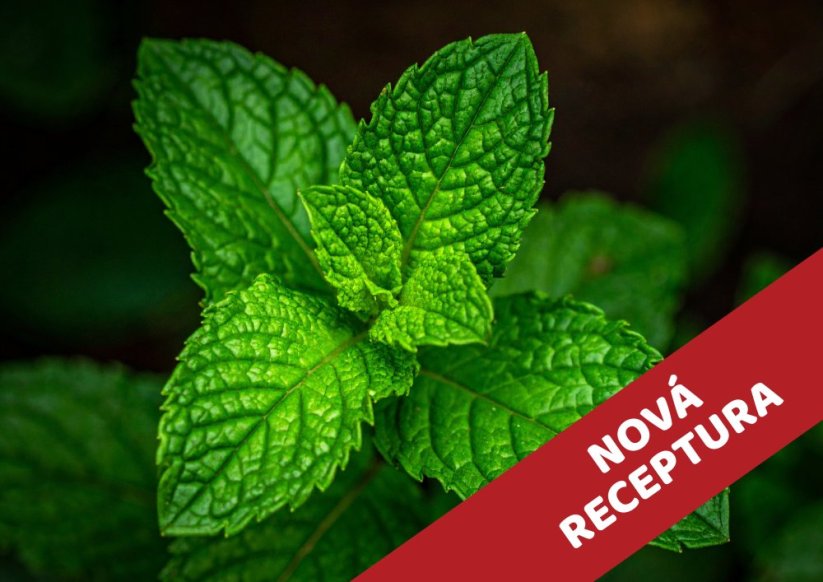 Máta - vonný olej do svíček - Velikost balení: 100 ml NOVÁ RECEPTURA
